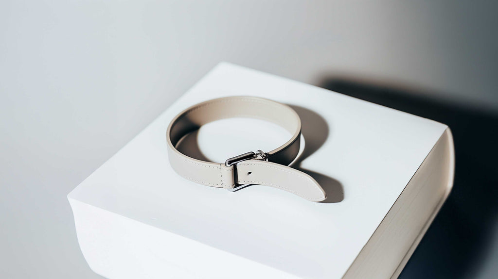 GPS Dog Tracker with Global Network Service