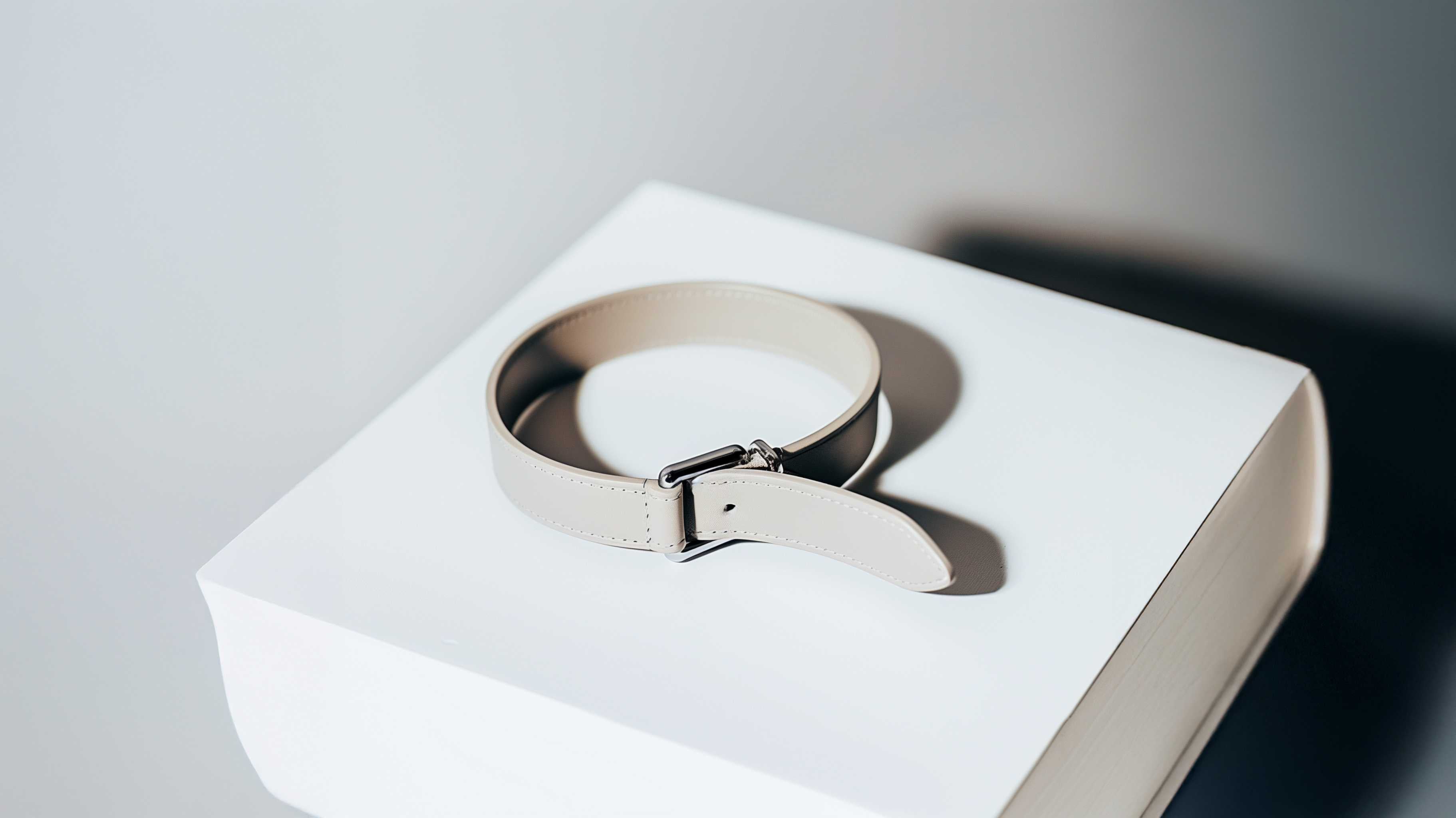 GPS Dog Tracker with Global Network Service